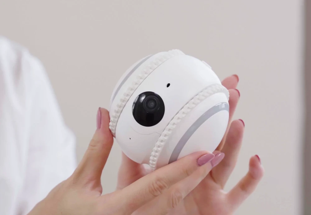 best in home cameras for pets