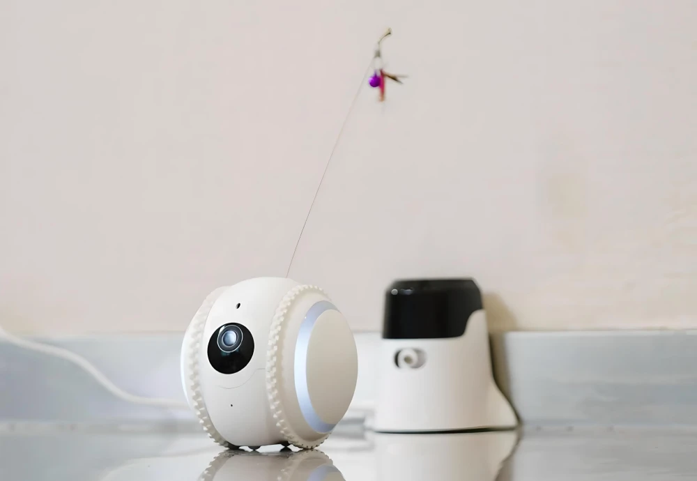 best in home cameras for pets