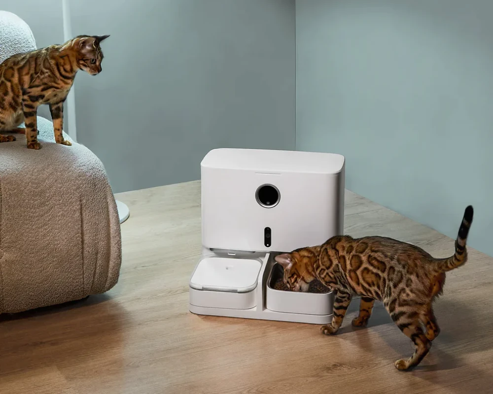 automatic cat feeder with camera